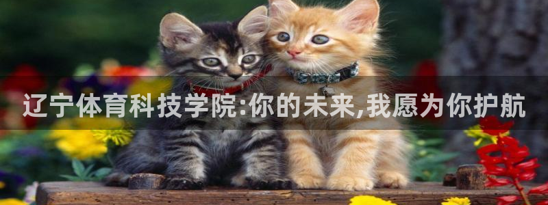 J9官网下载官方客服电话：辽宁体育科技学院:你的未来