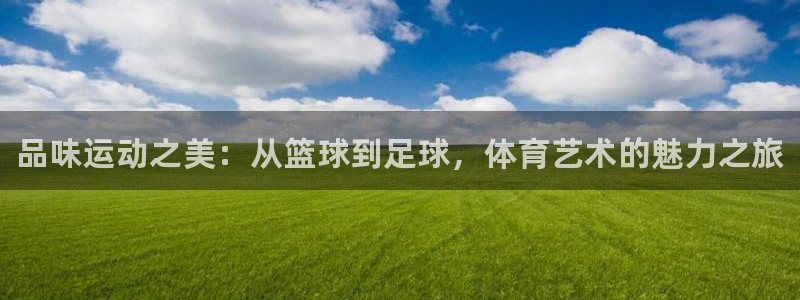 J9官网下载平台是正规平台吗：品味运动之美：从篮球到