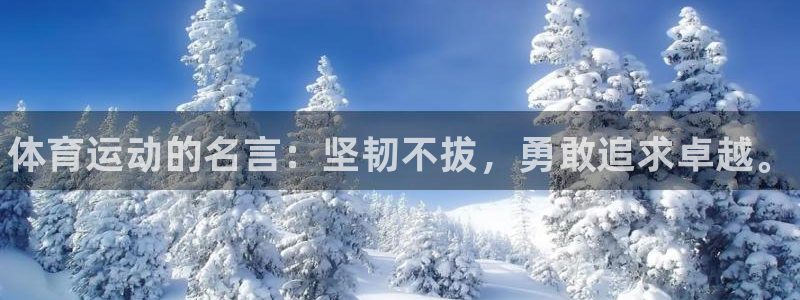 J9官方正版app娱乐40996：体育运动的名言：坚