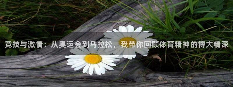 J9官方正版app五金厂：竞技与激情：从奥运会到马拉