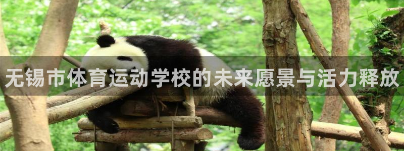 J9官网下载招商电话号码查询：无锡市体育运动学校的未