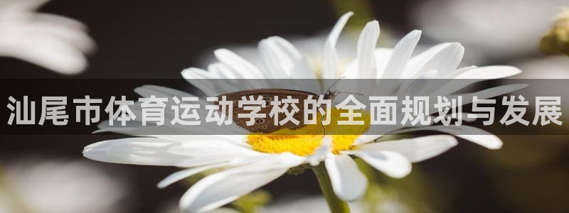 J9官方正版app集团官网网址：汕尾市体育运动学校的