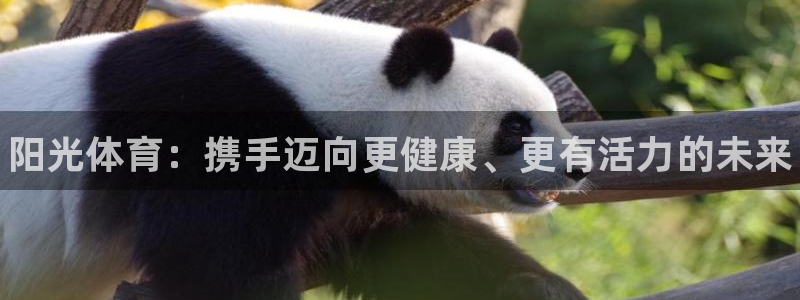 J9官网下载：阳光体育：携手迈向更健康、更有活力的未