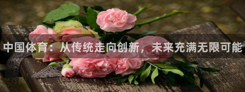 J9官网下载平台注册流程图：中国体育：从传统走向创新