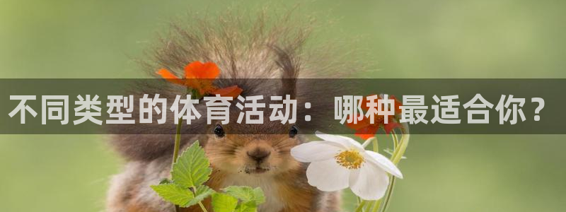 J9官网下载招商电话号码查询是多少：不同类型的体育活