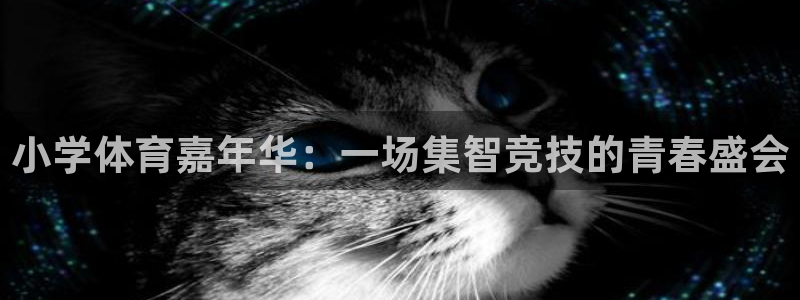 注册J9官方正版app：小学体育嘉年华：一场集智竞技
