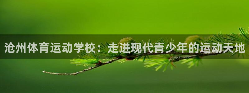 德国J9官方正版app集团：沧州体育运动学校：走进现代青少年