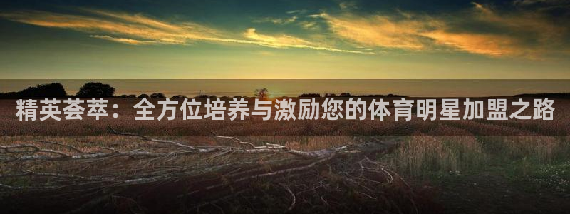 J9官网下载招商电话号码查询是多少：精英荟萃：全方位培养与激