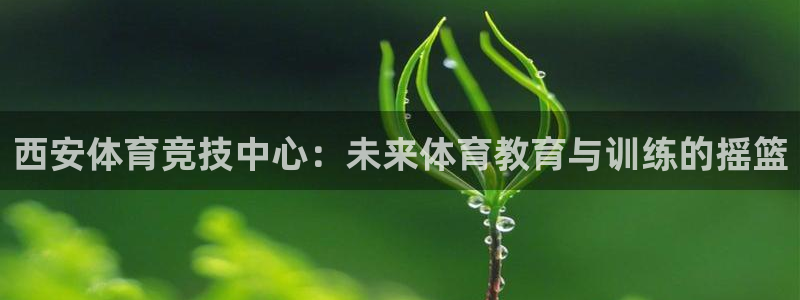 J9官网下载平台注册：西安体育竞技中心：未来体育教育与训练的