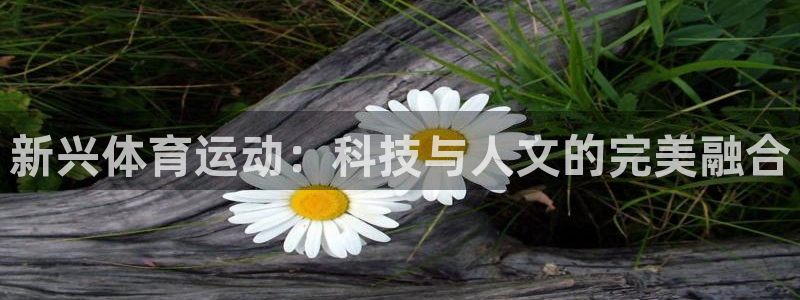 J9官方正版app集团官网首页网址：新兴体育运动：科技与人文