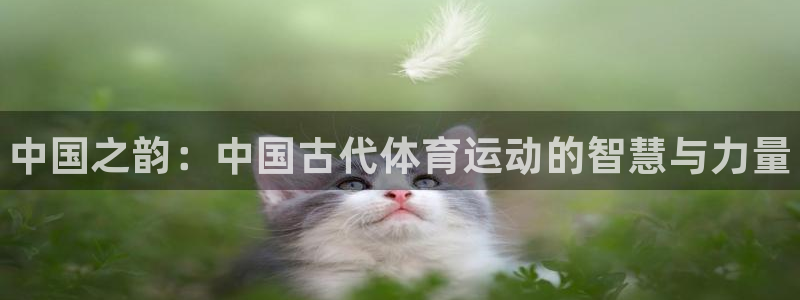 J9官网下载招商电话：中国之韵：中国古代体育运动的智