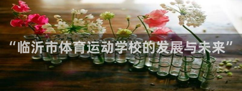 J9官网下载联系电话：“临沂市体育运动学校的发展与未