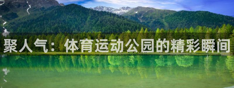 J9官方正版app代理：聚人气：体育运动公园的精彩瞬间