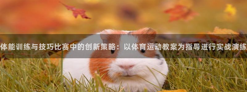 J9官方正版app娱乐代理怎么样：体能训练与技巧比赛中的创新