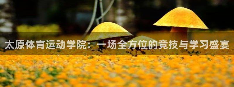 J9官方集团官网：太原体育运动学院：一场全方位的竞技与学习盛