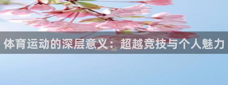 J9官方正版app娱乐平台：体育运动的深层意义：超越竞技与个