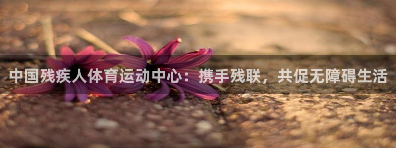 J9官网下载平台假的吗是真的吗：中国残疾人体育运动中心：携手