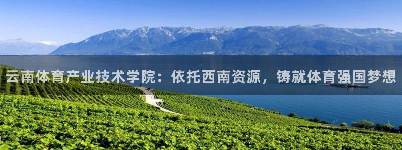 J9官方正版app集团E.ON：云南体育产业技术学院：依托西