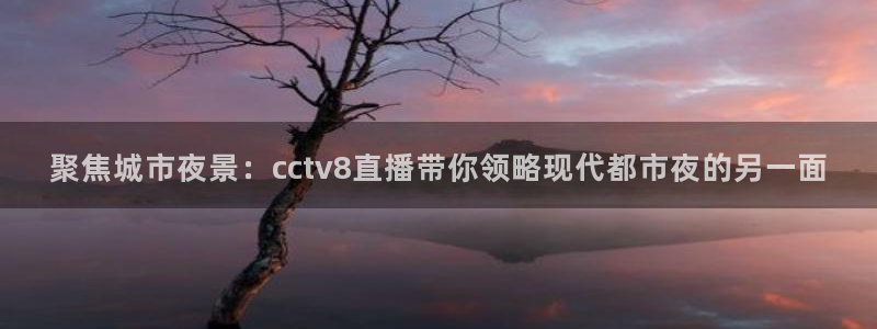 袋鼠直播体育在线
