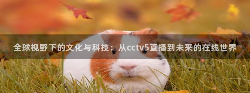 袋鼠看球直播