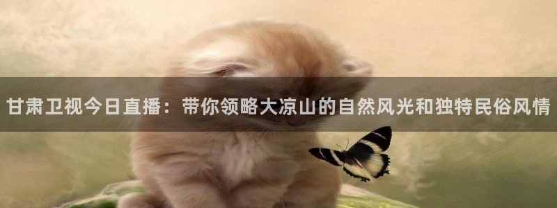 袋鼠体育直播nba