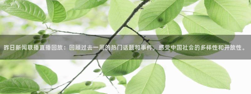 袋鼠直播体育五大球联赛