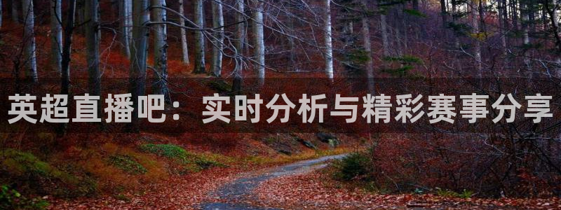 袋鼠直播体育app下载：英超直播吧：实时分析与精彩赛事分享