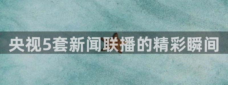 nba袋鼠直播：央视5套新闻联播的精彩瞬间