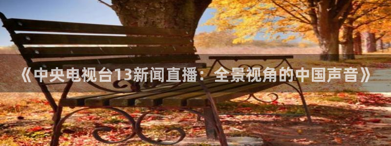 袋鼠在线直播体育：《中央电视台13新闻直播：全景视角的中国声音》