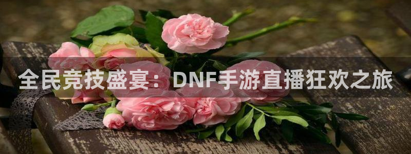 袋鼠nba体育：全民竞技盛宴：DNF手游直播狂欢之旅