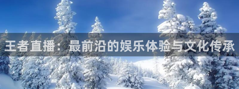 袋鼠直播篮球