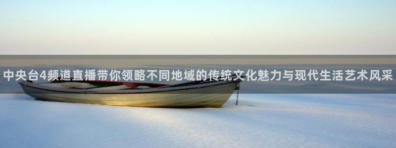 袋鼠直播体育在线直播：中央台4频道直播带你领略不同地域的传统文化魅力与现代生活艺术风采