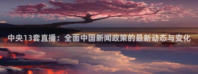 袋鼠体育直播：中央13套直播：全面中国新闻政策的最新动态与变化