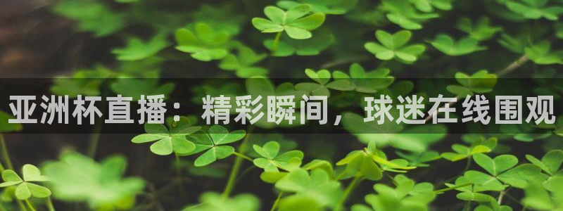 袋鼠直播体育免费观看入口：亚洲杯直播：精彩瞬间，球迷在线围观