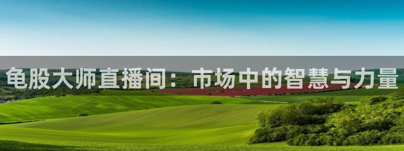 袋鼠直播nba：龟股大师直播间：市场中的智慧与力量