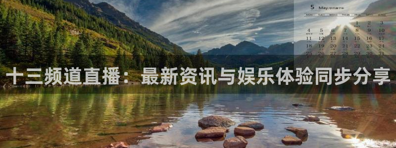 袋鼠直播nba