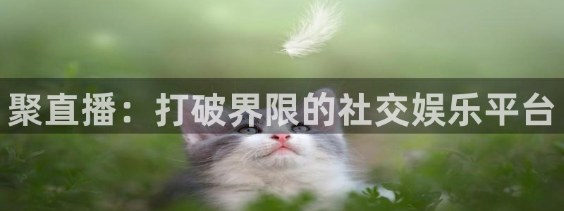 袋鼠体育直播足球：聚直播：打破界限的社交娱乐平台