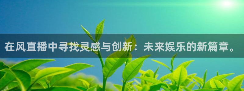 袋鼠体育免费直播：在风直播中寻找灵感与创新：未来娱乐的新篇章。