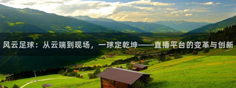 袋鼠直播在线播放：风云足球：从云端到现场，一球定乾坤——直播平台的变革与创新