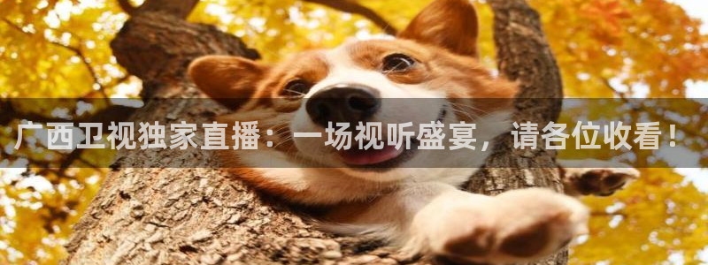 袋鼠直播在线观看nba：广西卫视独家直播：一场视听盛宴，请各位收看！