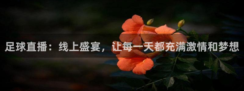袋鼠直播体育app下载