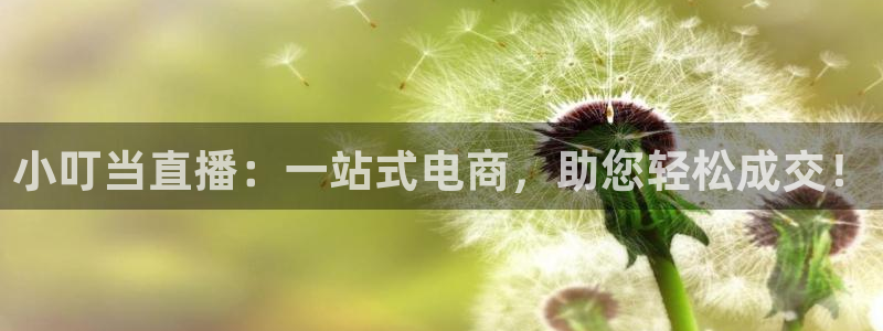 袋鼠直播看nba比赛