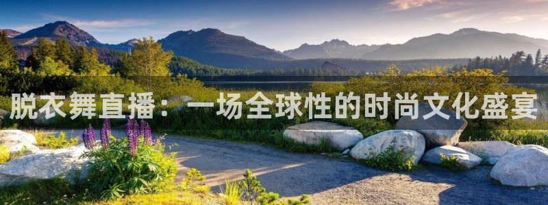 袋鼠体育直播在线观看
