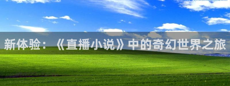袋鼠直播nba在线看