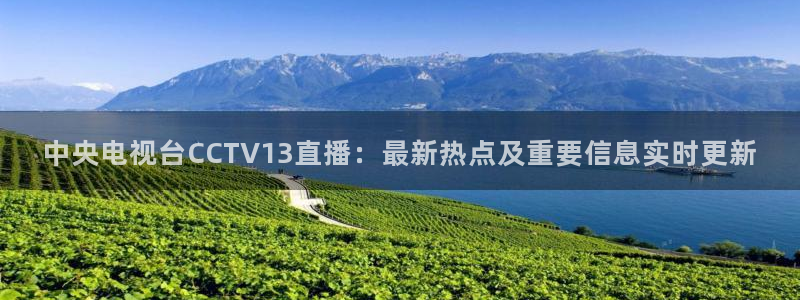 袋鼠直播体育免费直播