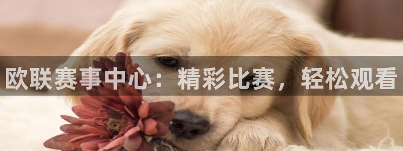 袋鼠直播体育app：欧联赛事中心：精彩比赛，轻松观看