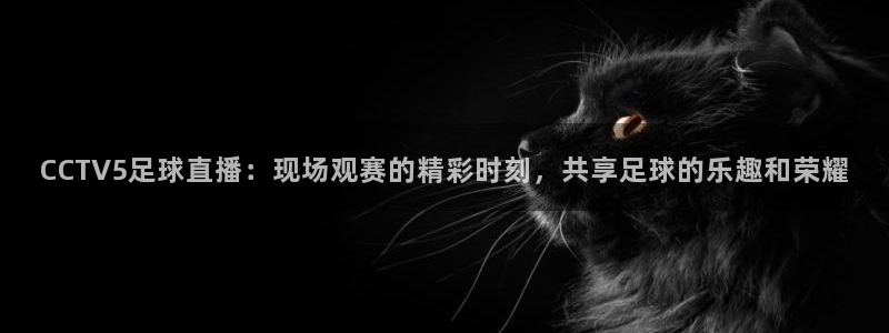 袋鼠直播体育app下载：CCTV5足球直播：现场观赛的精彩时刻，共享足球的乐趣和荣耀